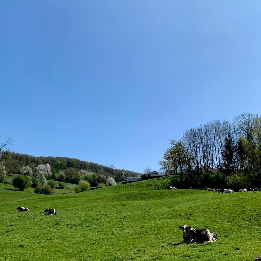 Hoeve Beusdalshof Otel Ingber Dış mekan fotoğraf